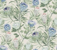 Protea Wallpaper in Cream/Blue from the Blooms Second Edition Protea Wallpaper, Thistle Wallpaper, Dallas House, Instant Connection, Washable Wallpaper, Blush Wallpaper, Heirloom Roses, Asian Garden, 4 Wallpaper