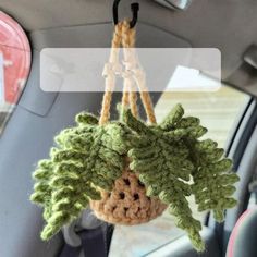 a crocheted plant hanging in the back seat of a car