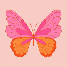 a pink butterfly with orange wings