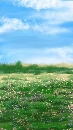 a field with flowers and grass under a blue sky