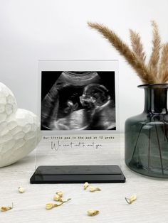 an x - ray image is placed next to a vase with dried flowers