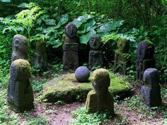 moss covered rocks in the middle of a forest