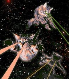 two cats looking at each other in the night sky with stars and fireworks behind them