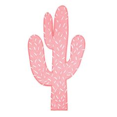 a pink cactus with white leaves on it