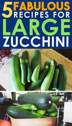 zucchini and other vegetables with the title 5 fabulous recipes for large zucchini