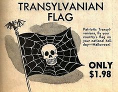 an advertisement for the transylvaniian flag with a skull and spider web on it