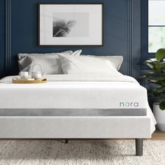 an image of a bed with no sheets in the middle and blue walls behind it