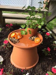 an orange planter with plants growing out of it