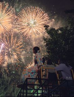 people watching fireworks in the night sky