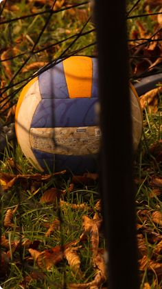 a close up of a beach ball in the grass with leaves around it and on the ground