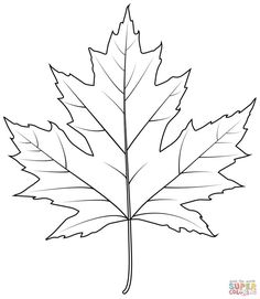 a drawing of a maple leaf