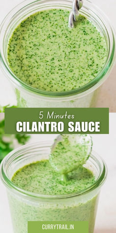 creamy cilantro sauce in a glass jar Creamy Cilantro Dip, Cilantro Fish Taco Sauce, Cilantro Dipping Sauce Creamy, Cilantro Lime Taco Sauce, Vegan Cilantro Lime Sauce, Fish Taco Cilantro Lime Sauce, Mexican Cilantro Sauce, Cilantro Lime Aioli, Cilantro Lime Dipping Sauce