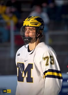 a man wearing a helmet and holding a hockey stick