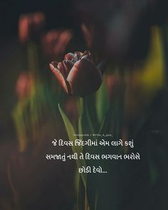 an image of a flower in the middle of a field with a quote on it