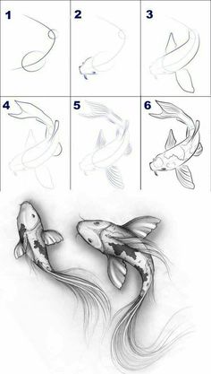 how to draw koi fish step by step with pictures for beginners and kids