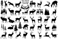 deer and elk silhouettes in various poses, with pine trees on the other side