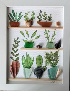 a white frame with some plants and rocks in it on a shelf next to a wall