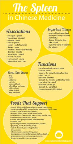 Foods For Spleen Health, Spleen Cleanse, Tcm Spleen, Spleen Deficiency, Spleen Health, Spleen Qi Deficiency