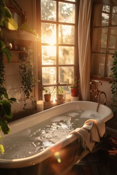 a bathtub filled with water next to a window and potted plants in front of it