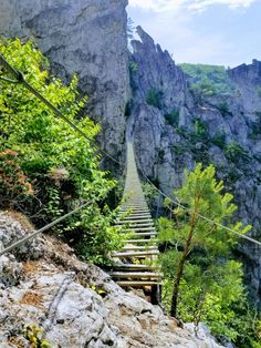 a wooden staircase going up the side of a mountain