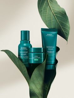 Product Advertisement, Forest Essentials, Aveda Hair, Perfume Photography, Skin Structure, Vegan Hair