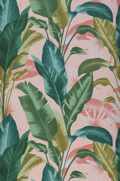 a pink wallpaper with green leaves on it