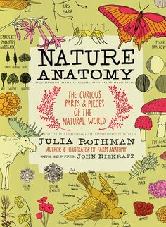 Nature Anatomy: The Curious Parts and Pieces of the Natural World by Julia Rothman Nature Anatomy, Julia Rothman, Monarch Butterfly Migration, The Natural World, Whimsical Illustration, Nature Journal, Interactive Activities, Field Guide, The Natural