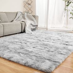 a living room with a gray couch and rug