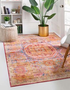 a living room with an orange rug and potted plant