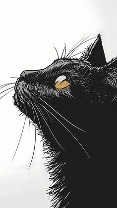 a black cat with yellow eyes looking up at something in the sky behind it's head