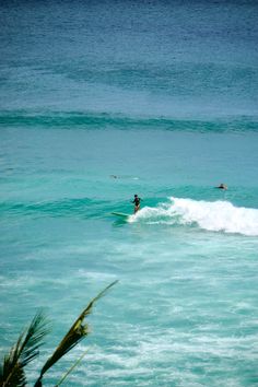 A travel girl longboard surfing on Bingin in Uluwatu, Bali. Bingin Beach Bali, Surfing Bali, Surf Bali, Bali Summer, Bali Aesthetic, Bali Uluwatu, Bali Surf