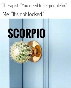 a door handle with a cactus on it and the words scorpio above it