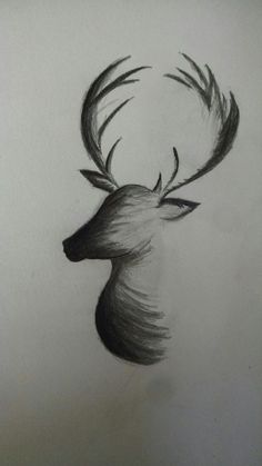 a pencil drawing of a deer's head