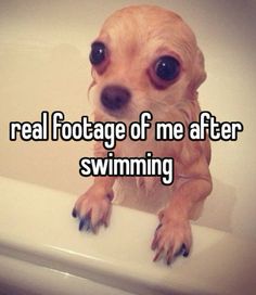 #swimming#real#whisper#drowned#wet#pool Swimming Pick Up Lines, Swim Jokes, Swim Team Quotes