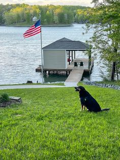 a black dog sitting on top of a green grass covered field next to a lake