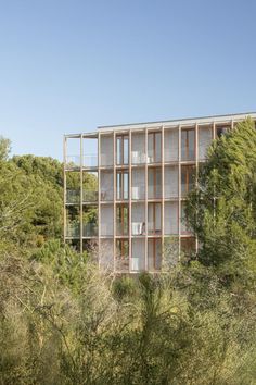 an apartment building surrounded by trees in the middle of a forest with lots of windows