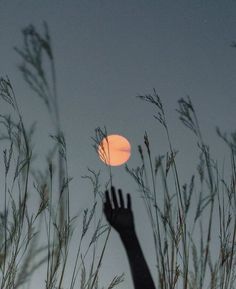 a person reaching up to the sky with their hand in front of an orange moon