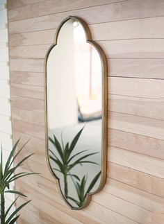 a mirror hanging on the side of a wooden wall next to a potted plant