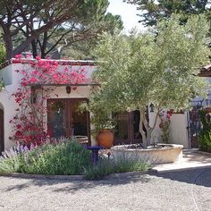 a house with pink flowers growing on it's roof and trees in the front yard