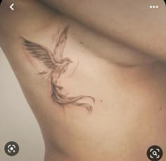 a woman's stomach with a bird tattoo on it