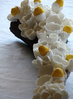 some white and yellow flowers are laying on a tableclothed surface, with one flower in the foreground