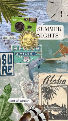 a collage of beach related items including a camera, palm tree and other things