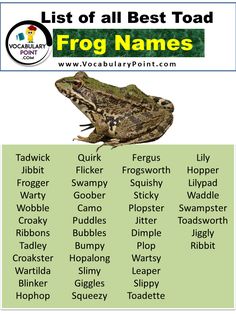 list of all the best toad names in english and spanish with pictures for each frog