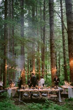 a group of people sitting at a table in the middle of a forest surrounded by tall trees