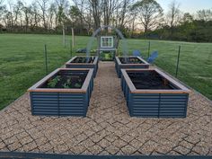 several raised garden beds with plants in them