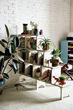 there is a plant in the corner of this room and it's shelves are filled with plants