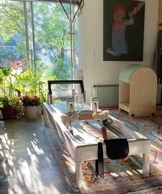 a living room with a couch, coffee table and potted plants on the floor