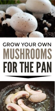 mushrooms are cooking in a skillet with the words grow your own mushrooms for the pan