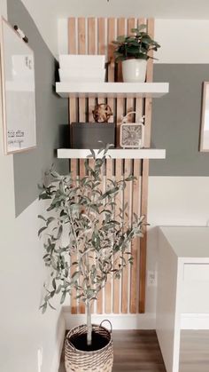 a potted plant sitting on top of a wooden shelf