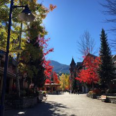 the street is lined with colorful trees and buildings